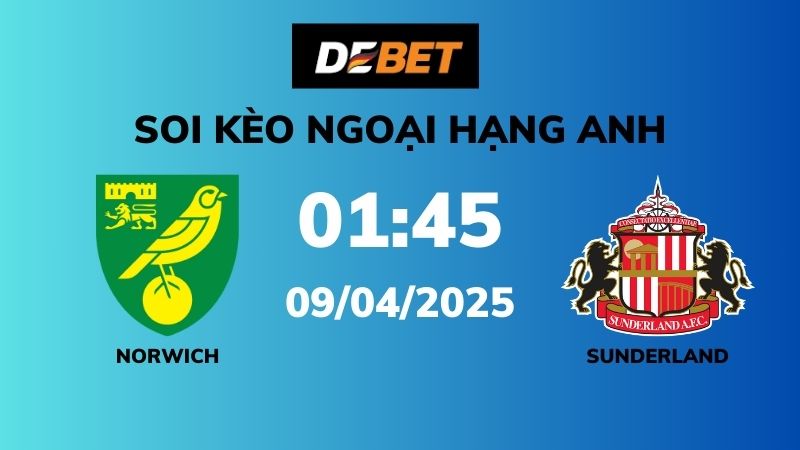 Đánh giá tình hình Norwich City